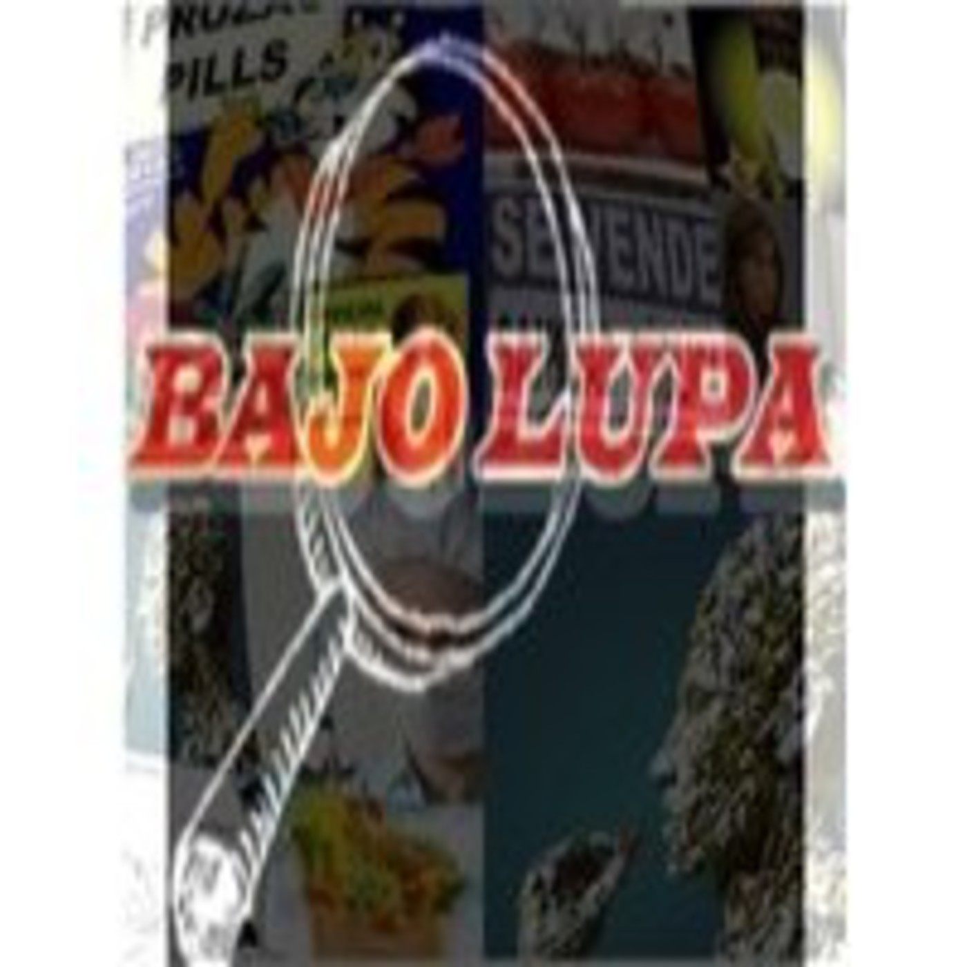 Bajo Lupa