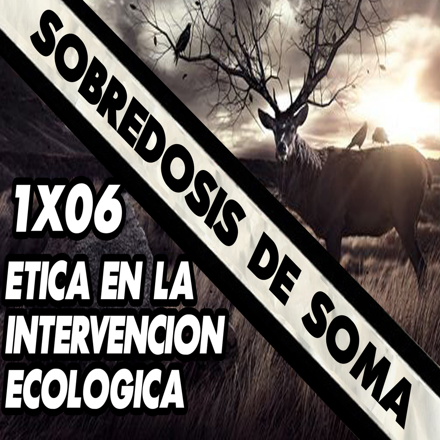 Sobredosis de Soma