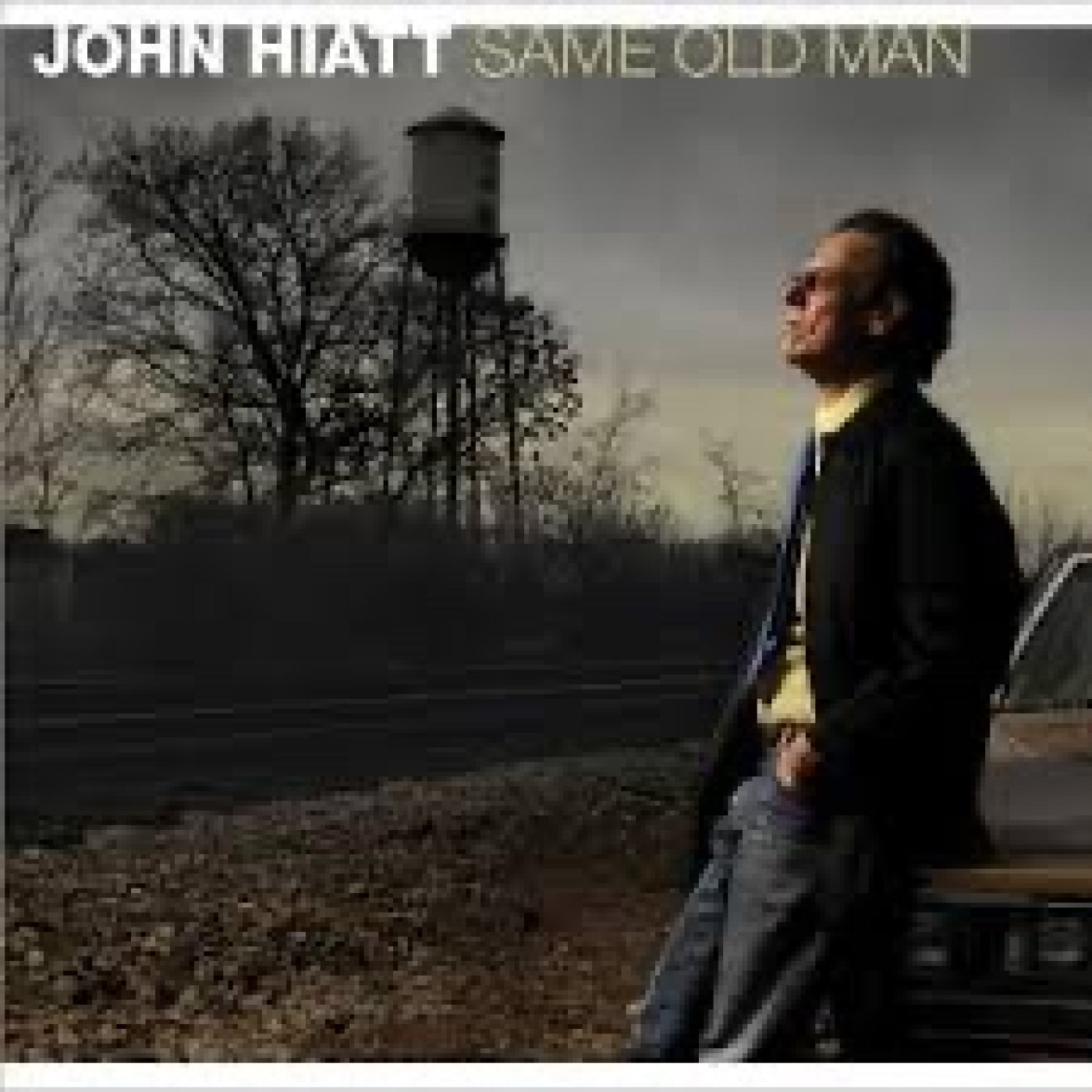 John Hiatt. 5ª Parte (2003-2010)