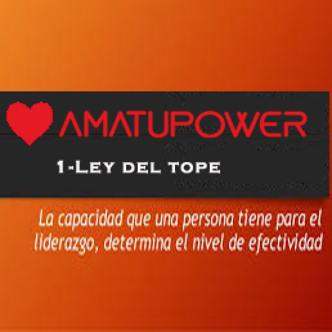 Las 21 leyes Irrefutables del liderazgo de John C.