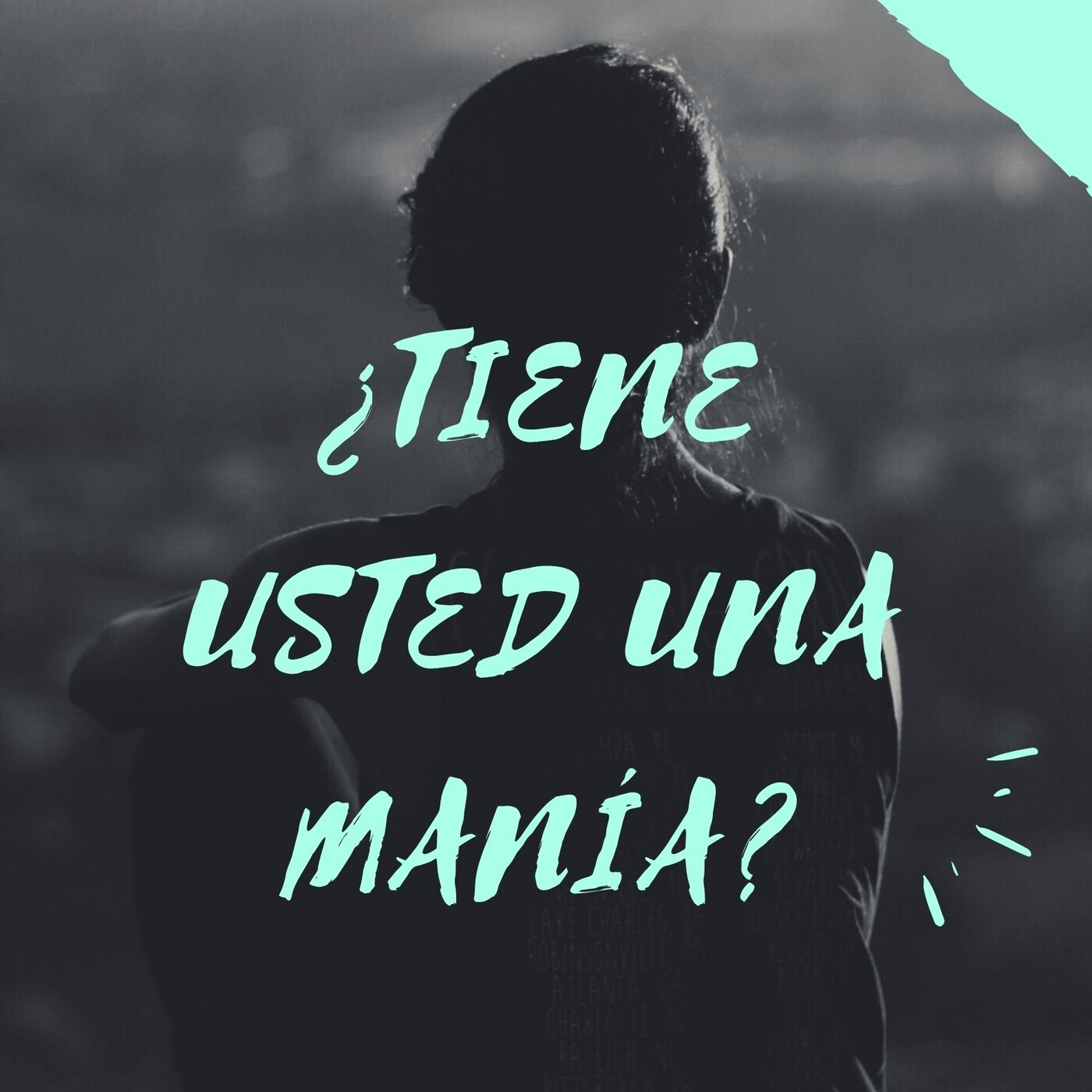 Diario de un locutor