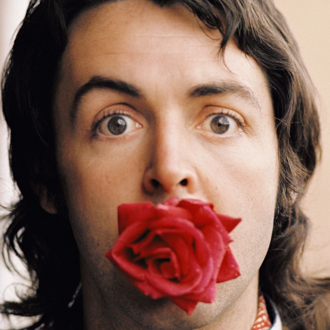 Proyecto Beatle