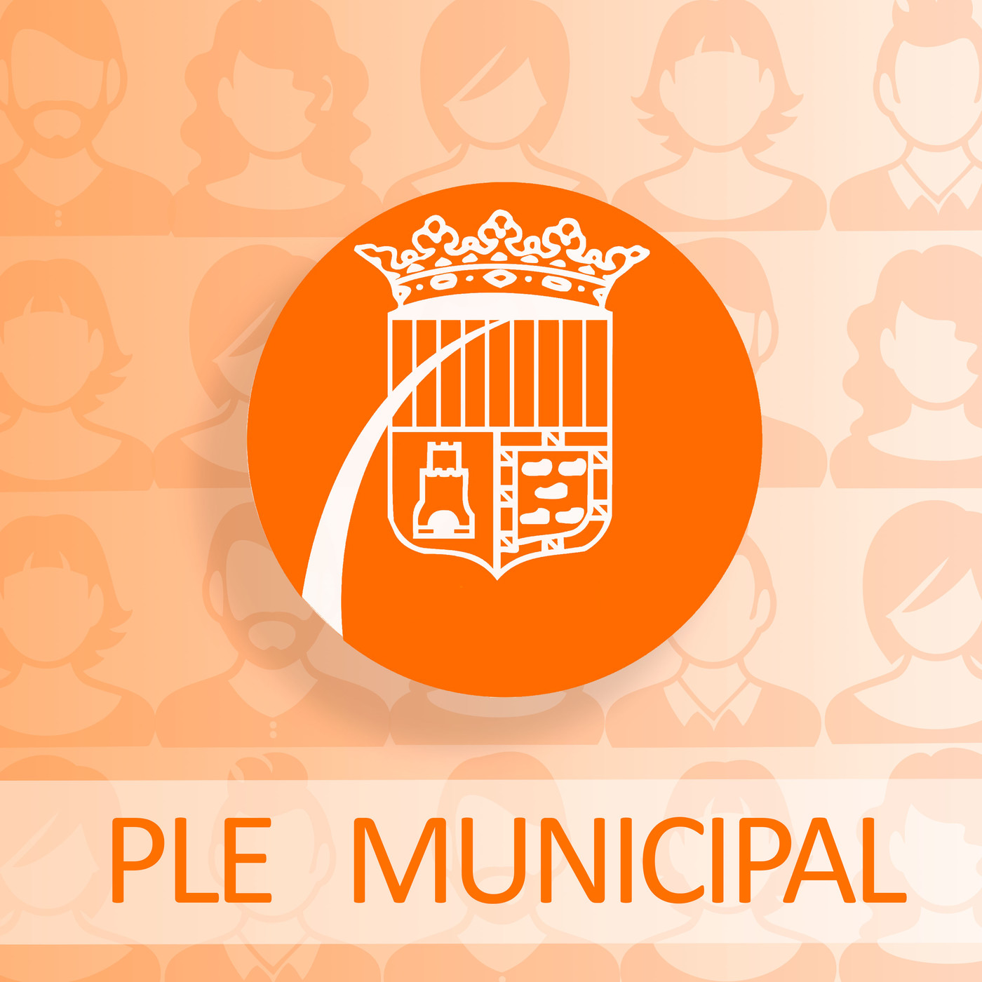 Ple municipal de febrer 2020. Sense talls. episode artwork