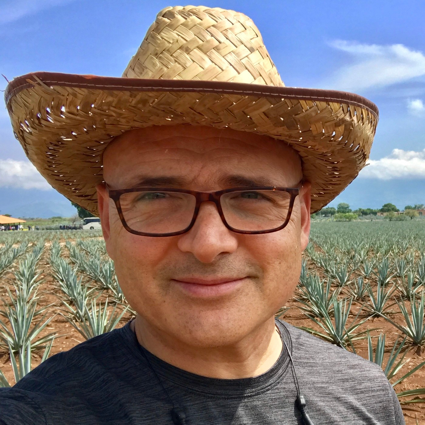 PODCAST 387: Qué se necesita en realidad para calificar en Amway.
