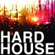 Techno-house