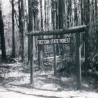 217 - El bosque maldito de Massachusetts