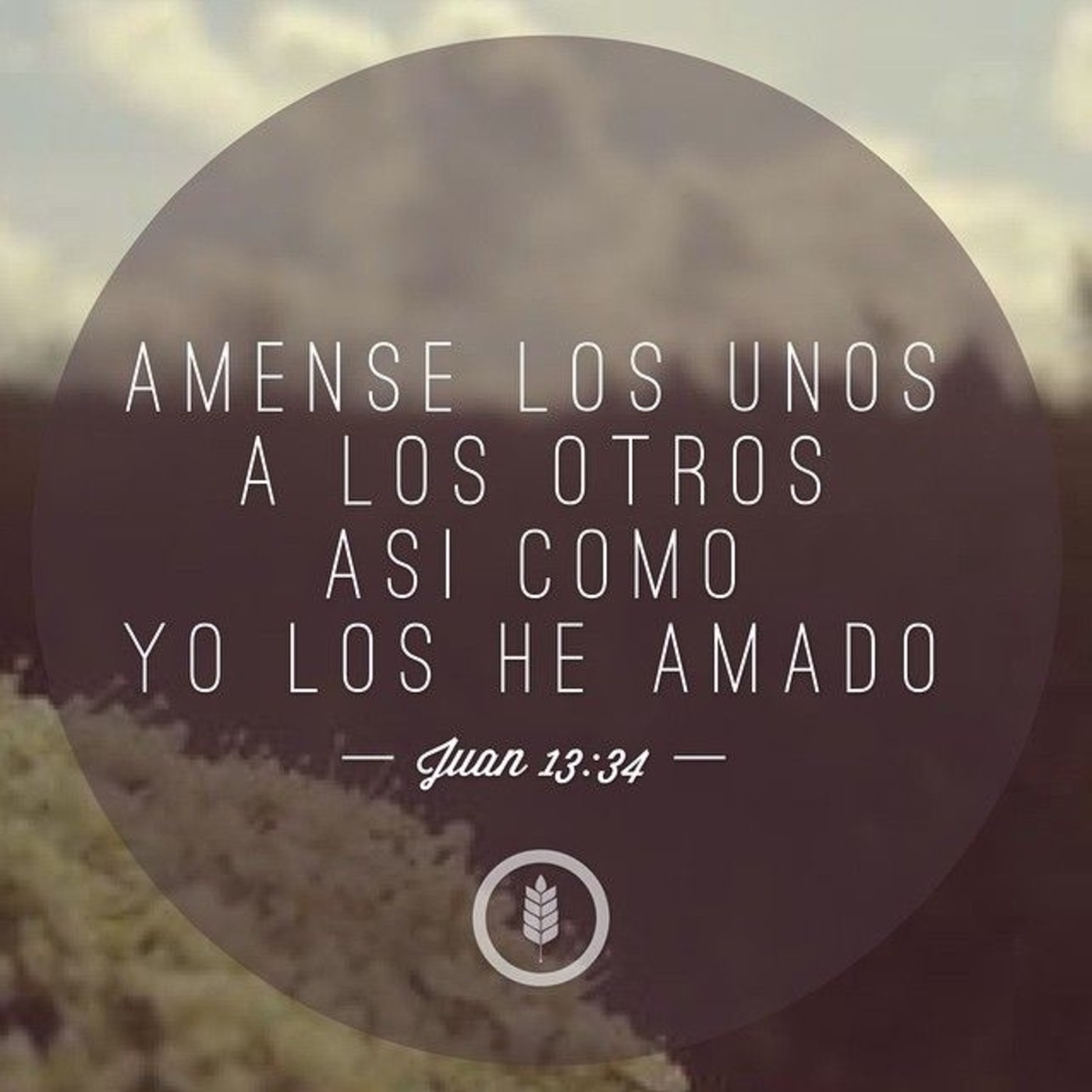 Buceando el Evangelio