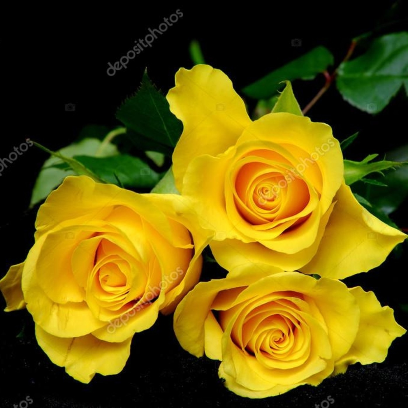 Audiolibros del Bati