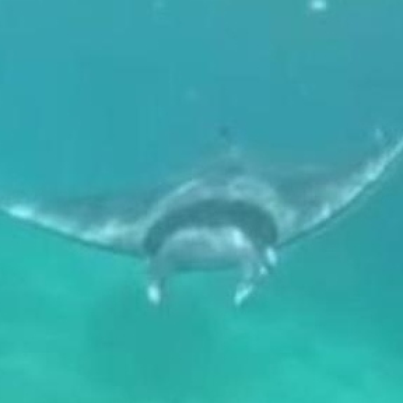 2885febbde9215a9b6d2d2646b47053b XXL esRadio Baleares