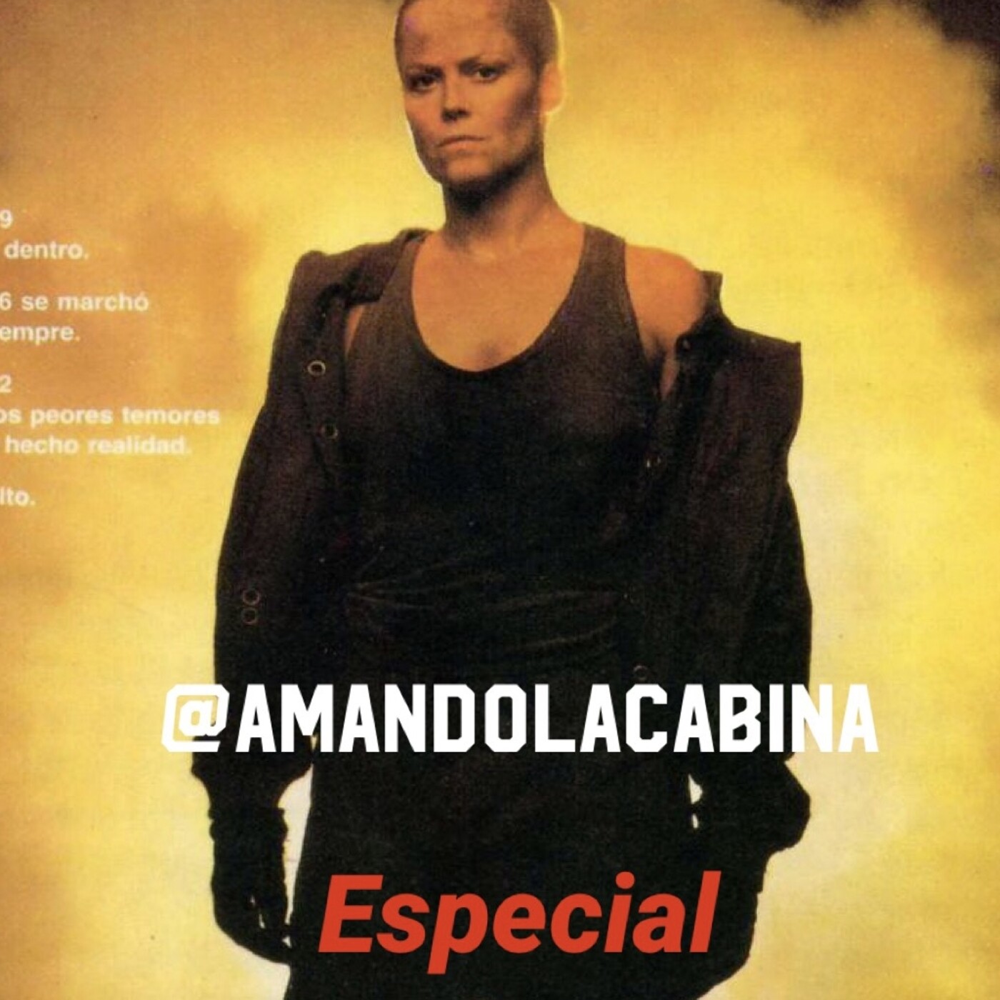 Amando la cabina