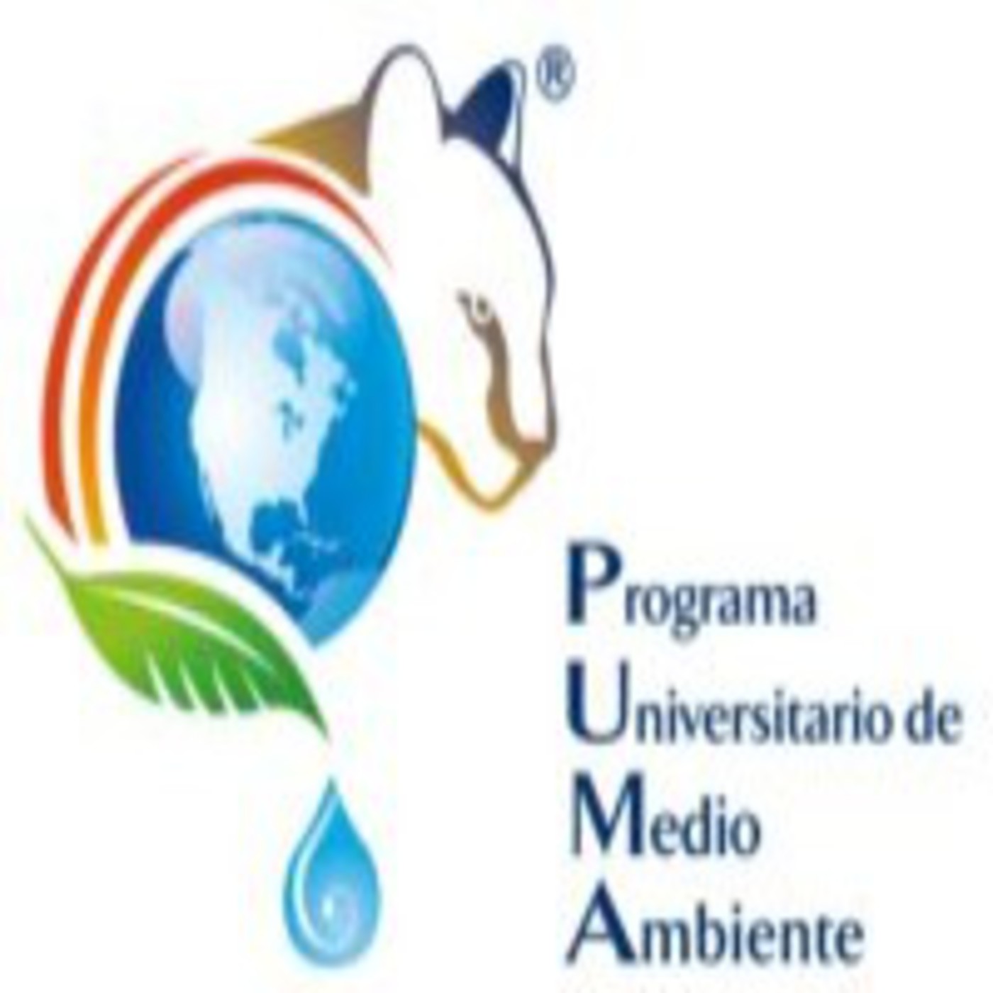 #AmbientePUMA