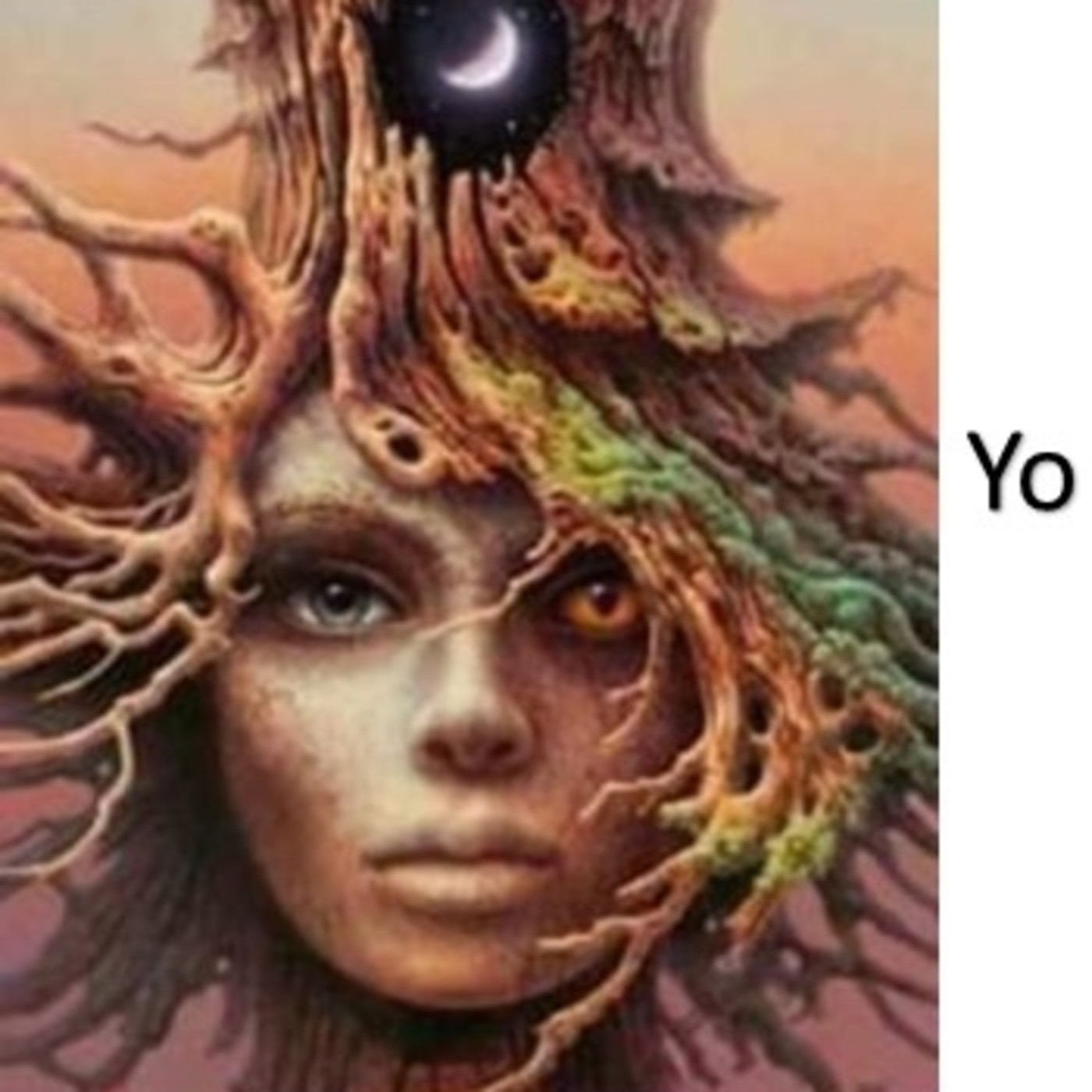 Vida Feliz y Meditaciones