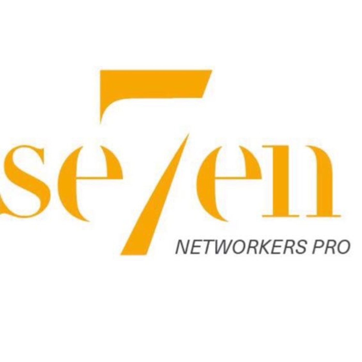Networkers Pro