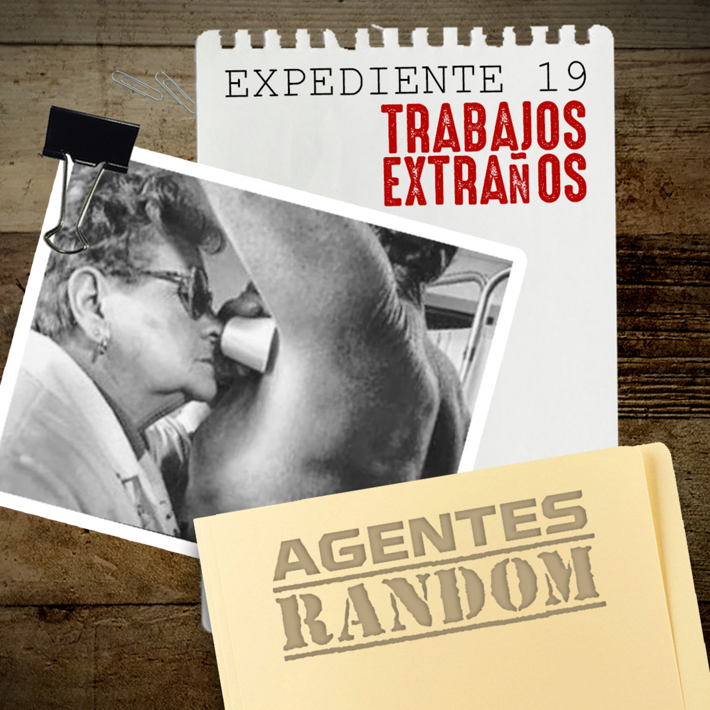 Agentes Random