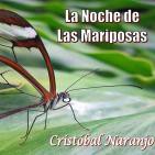 La Noche de las Mariposas (26 de Mayo de 2016)
