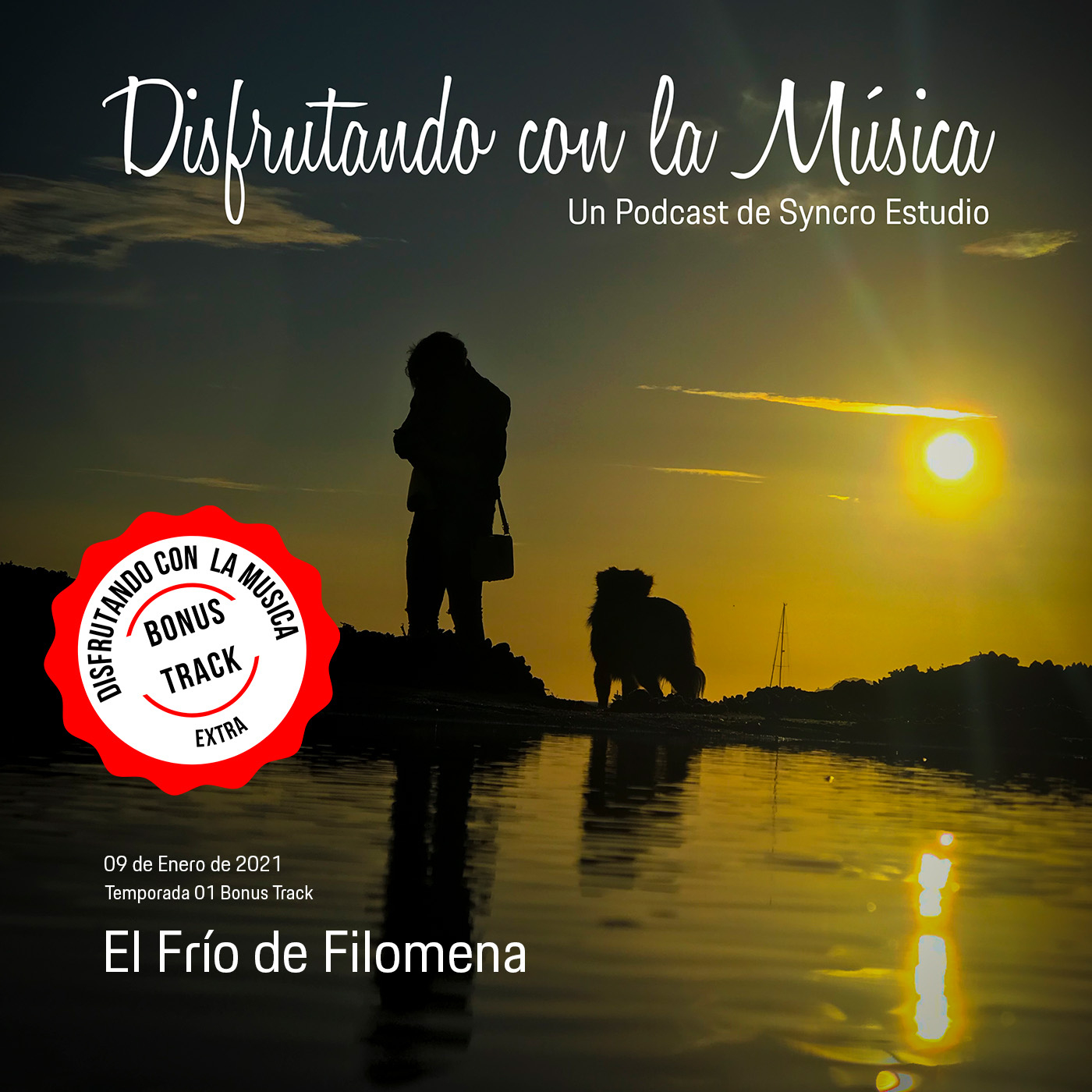 Disfrutando con la Música