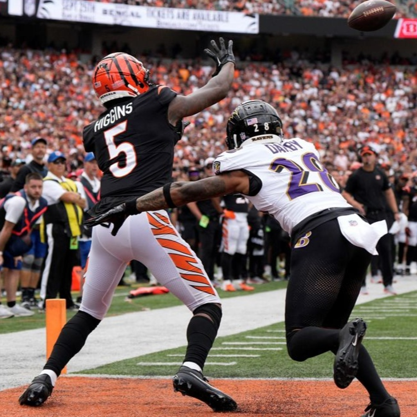 La Jungla Hispana - Bengals.es