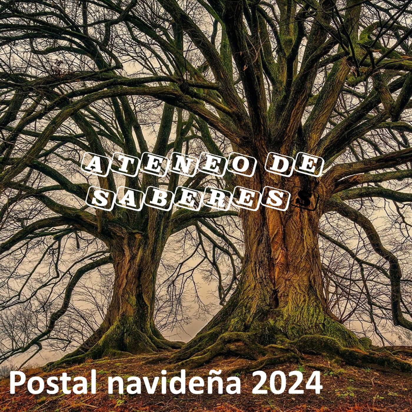 Postal navideña 2024 – Ateneo de saberes