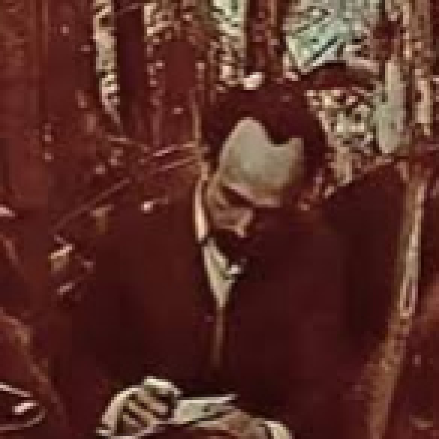 Programas de Radio Enciclopedia