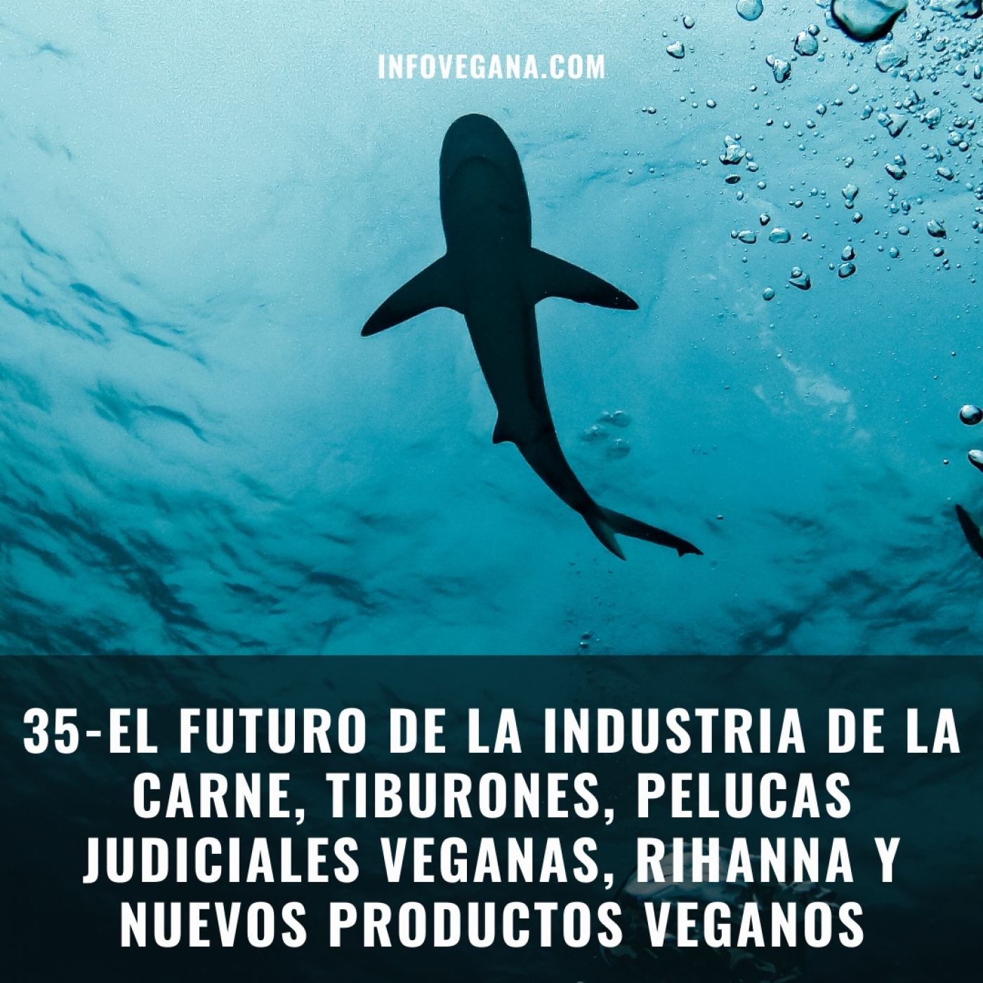 Infovegana, podcast de veganismo y sostenibilidad