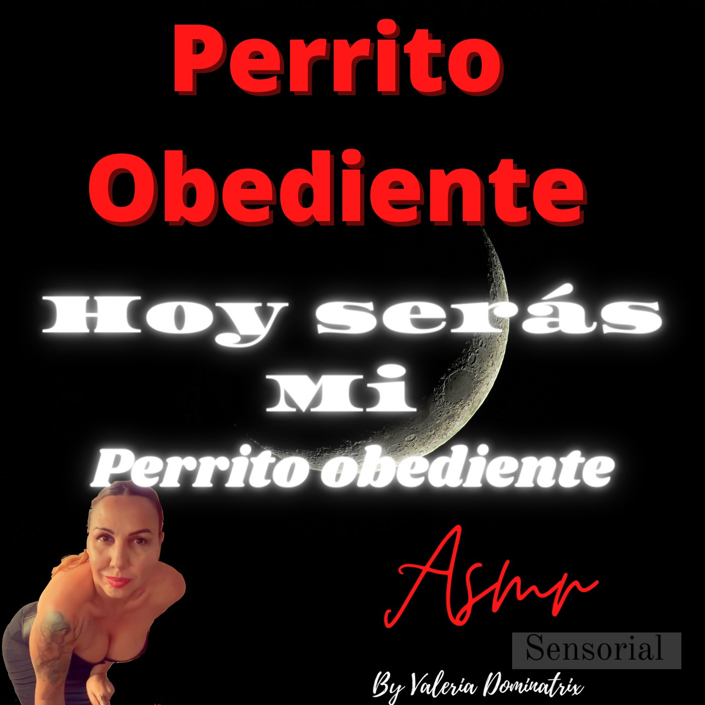 Perrito Obediente