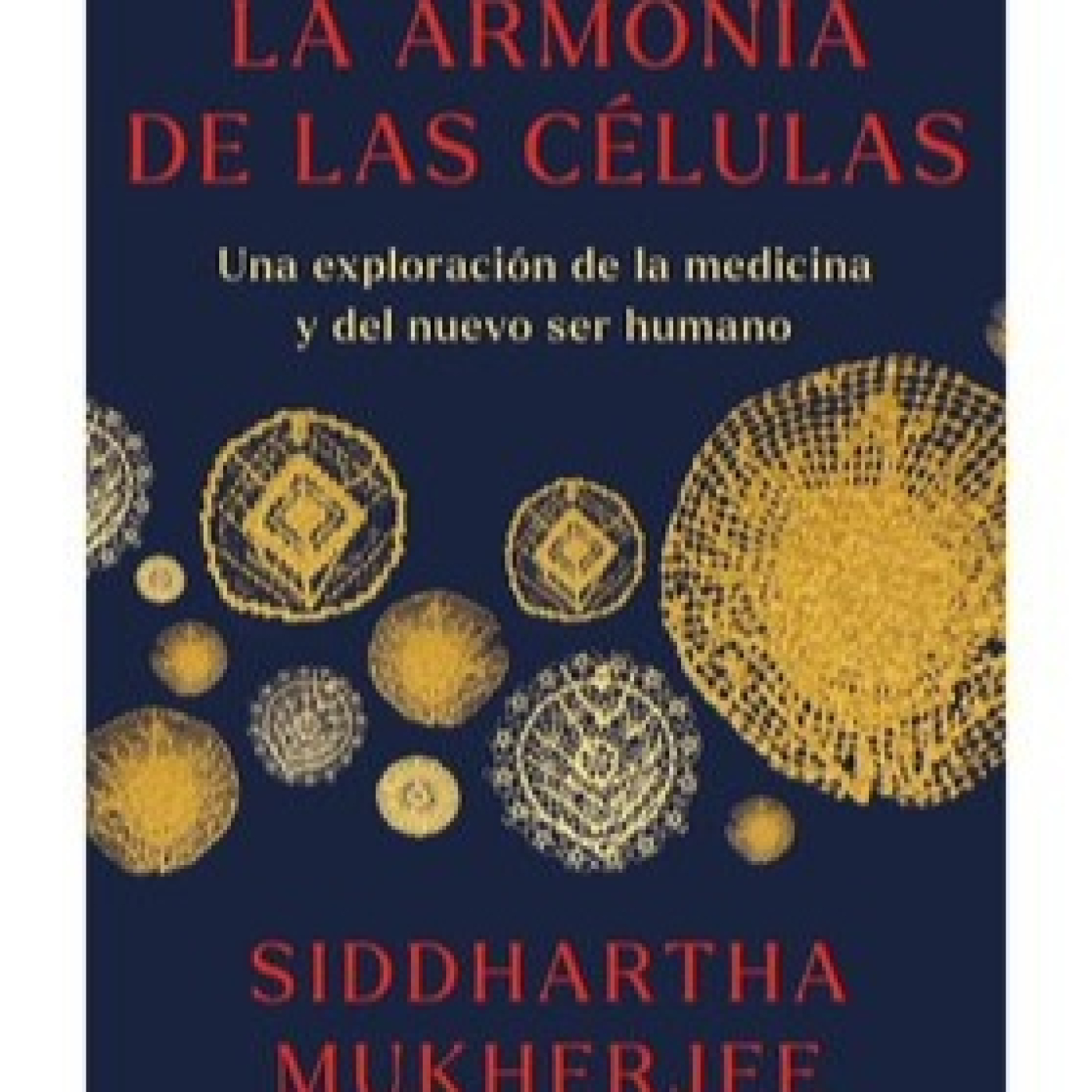 Apiedepágina IMER