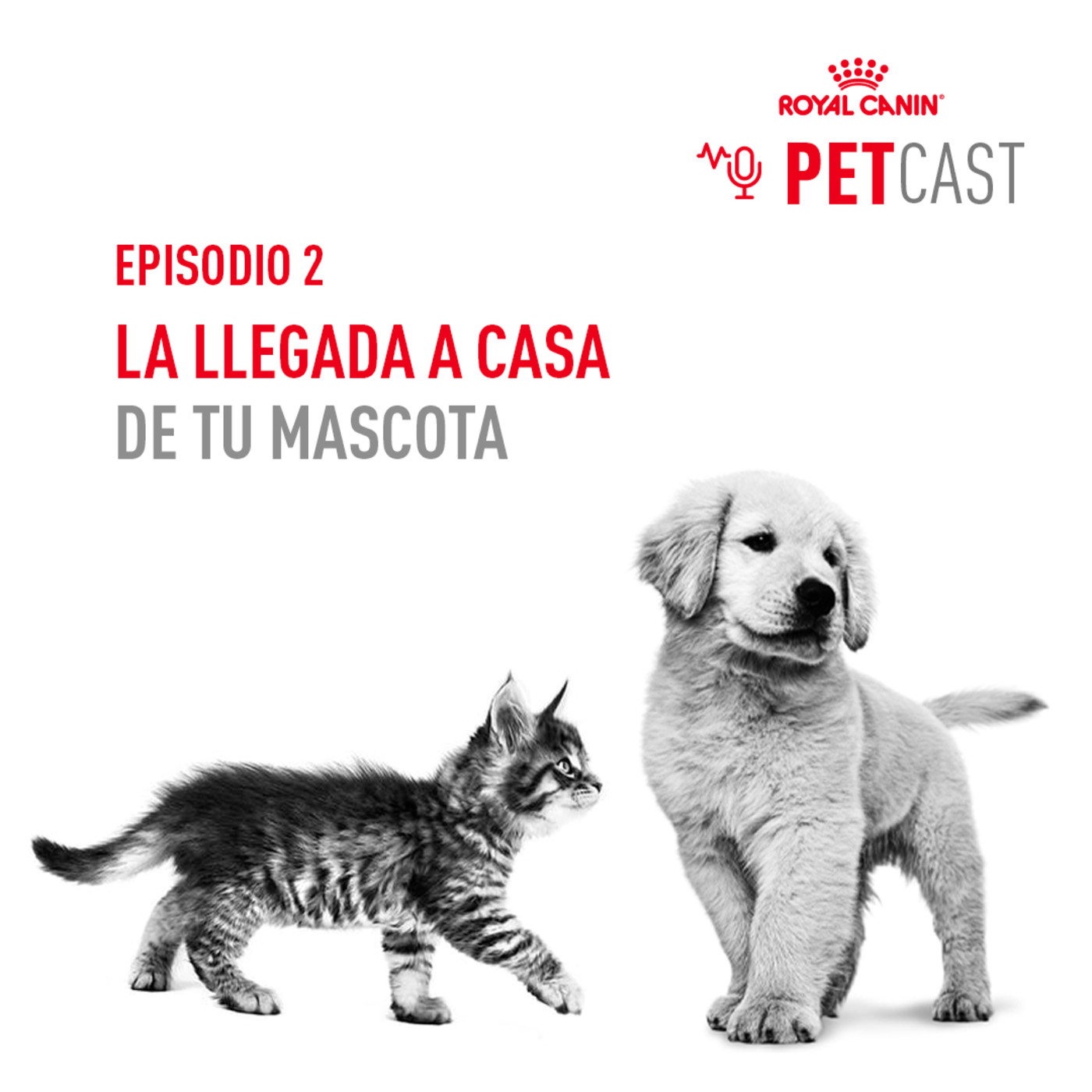 ROYAL CANIN PETCASTS ESPAÑA