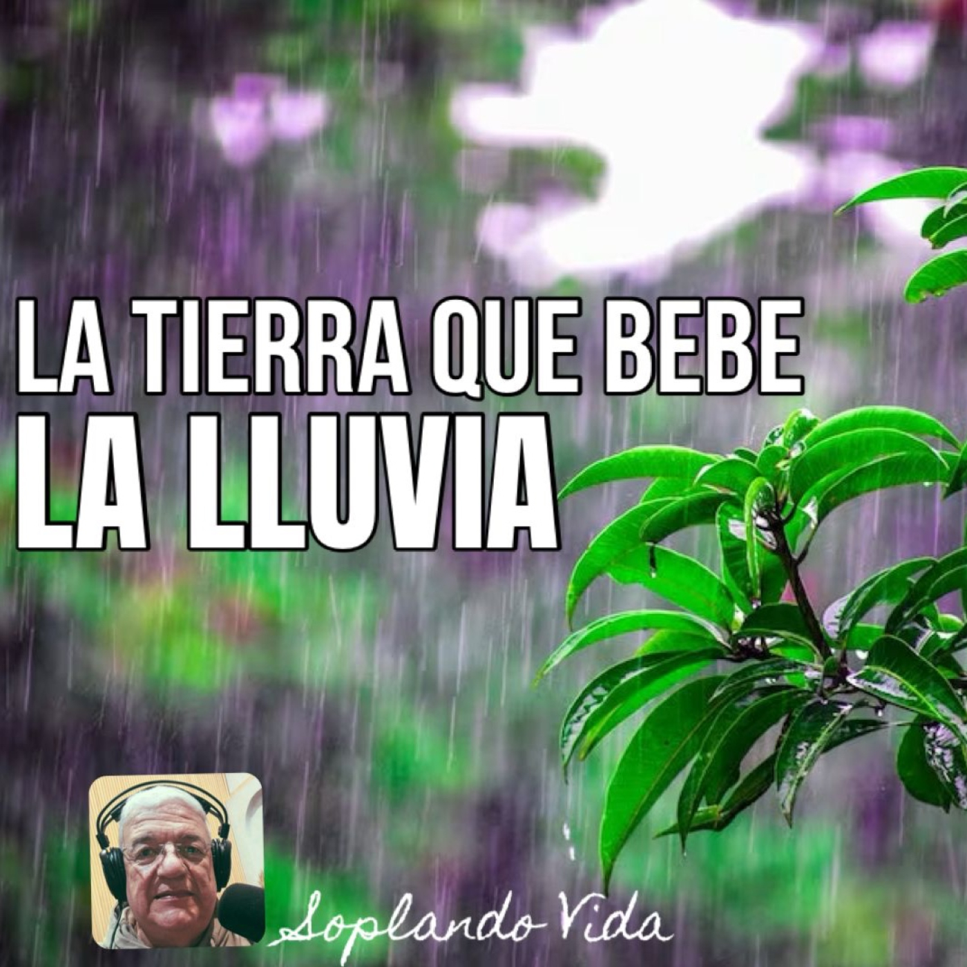 Soplando Vida - Ernesto J. Lozano (2026-04-02)