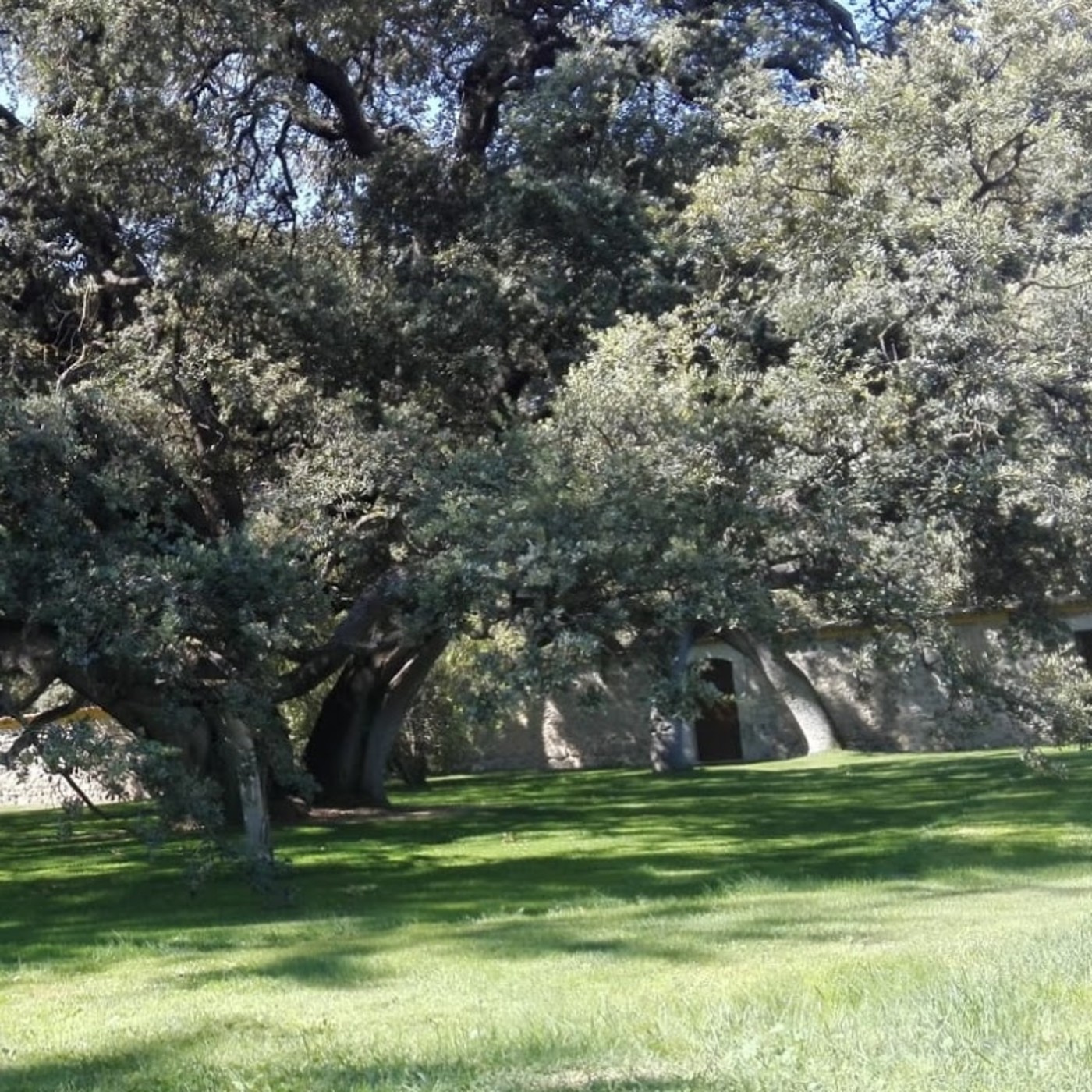 Podcast Nos Gustas Tú Radio