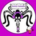 Entrevista Zampalibros