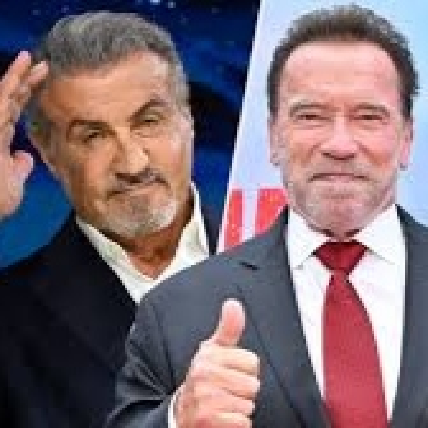 Stallone de mi vida
