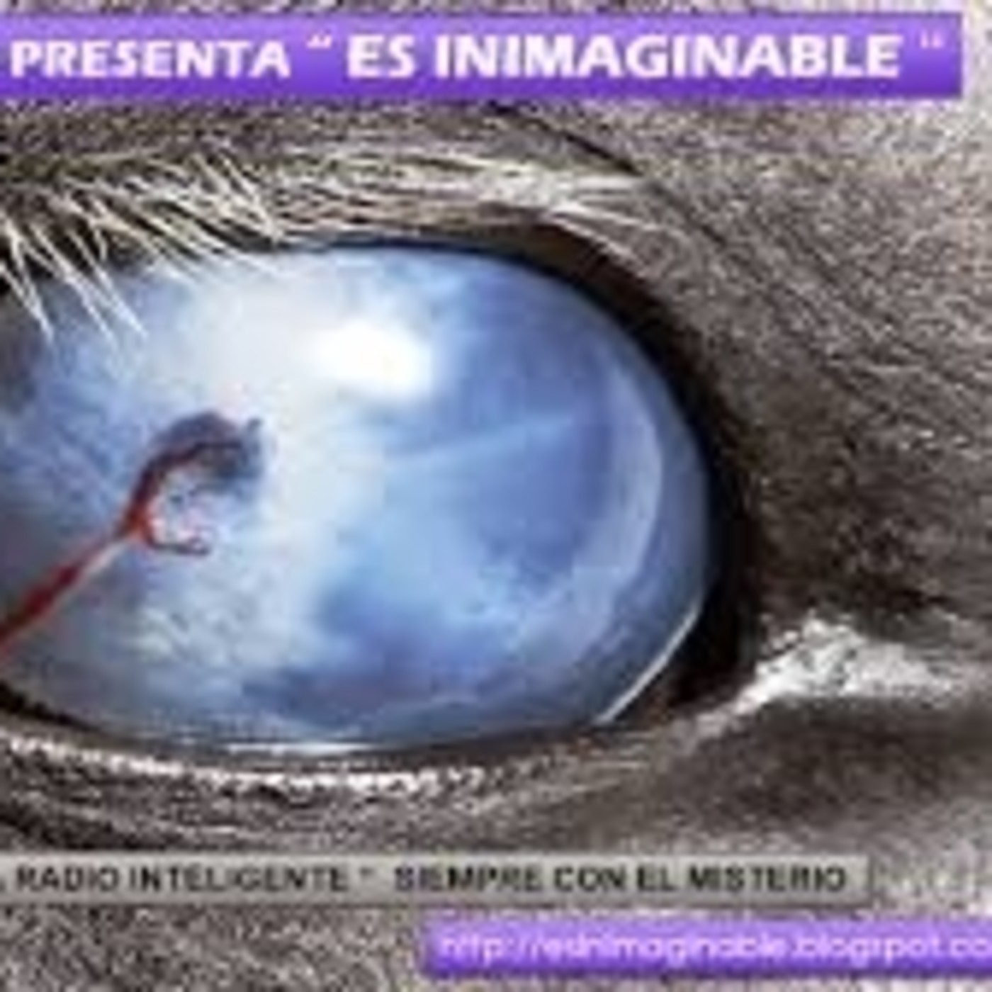 Podcast RADIO TORREPARAISO