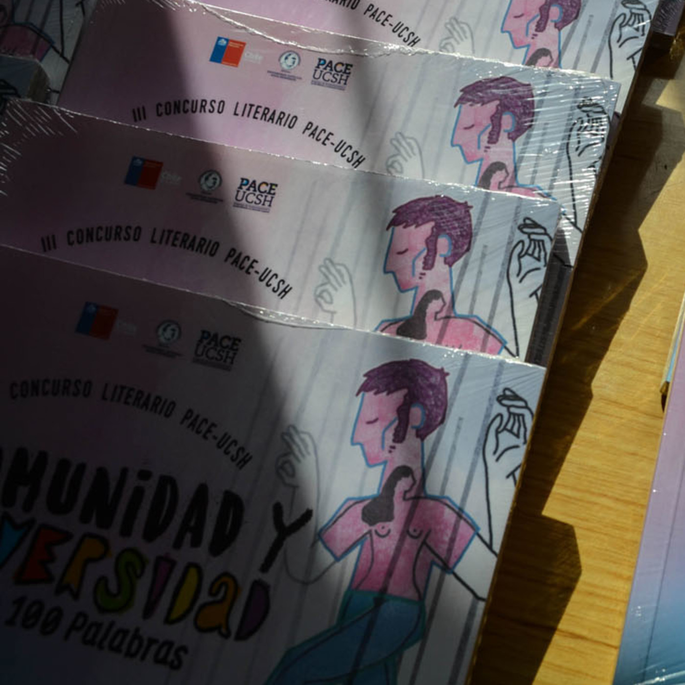Audiodescripciones Concurso Literario PACE UCSH
