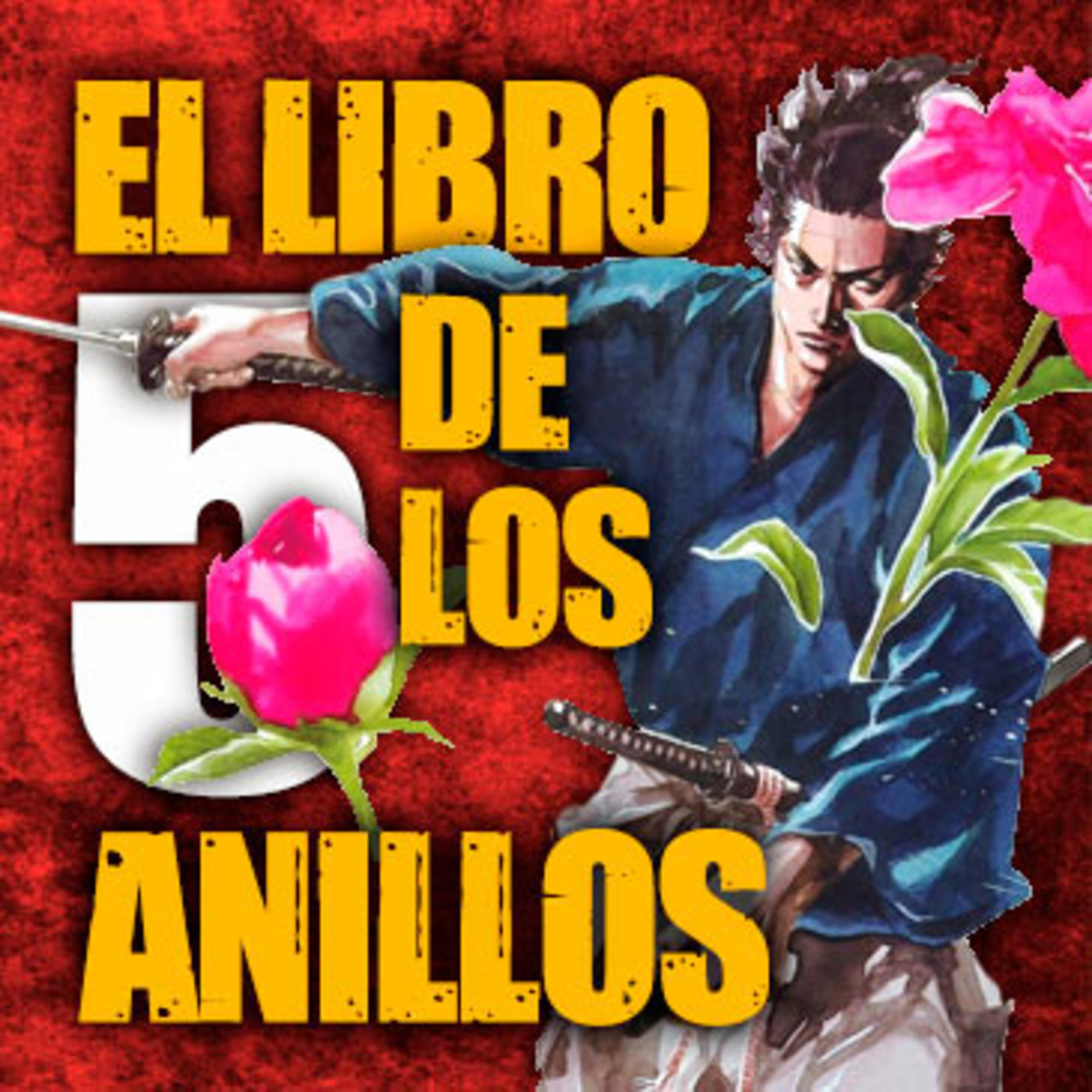 Dragonz | Artes Marciales y Deportes de Contacto