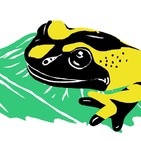 Especulació urbanística al Parc Natural del Montseny (amb Carles Lumeras)