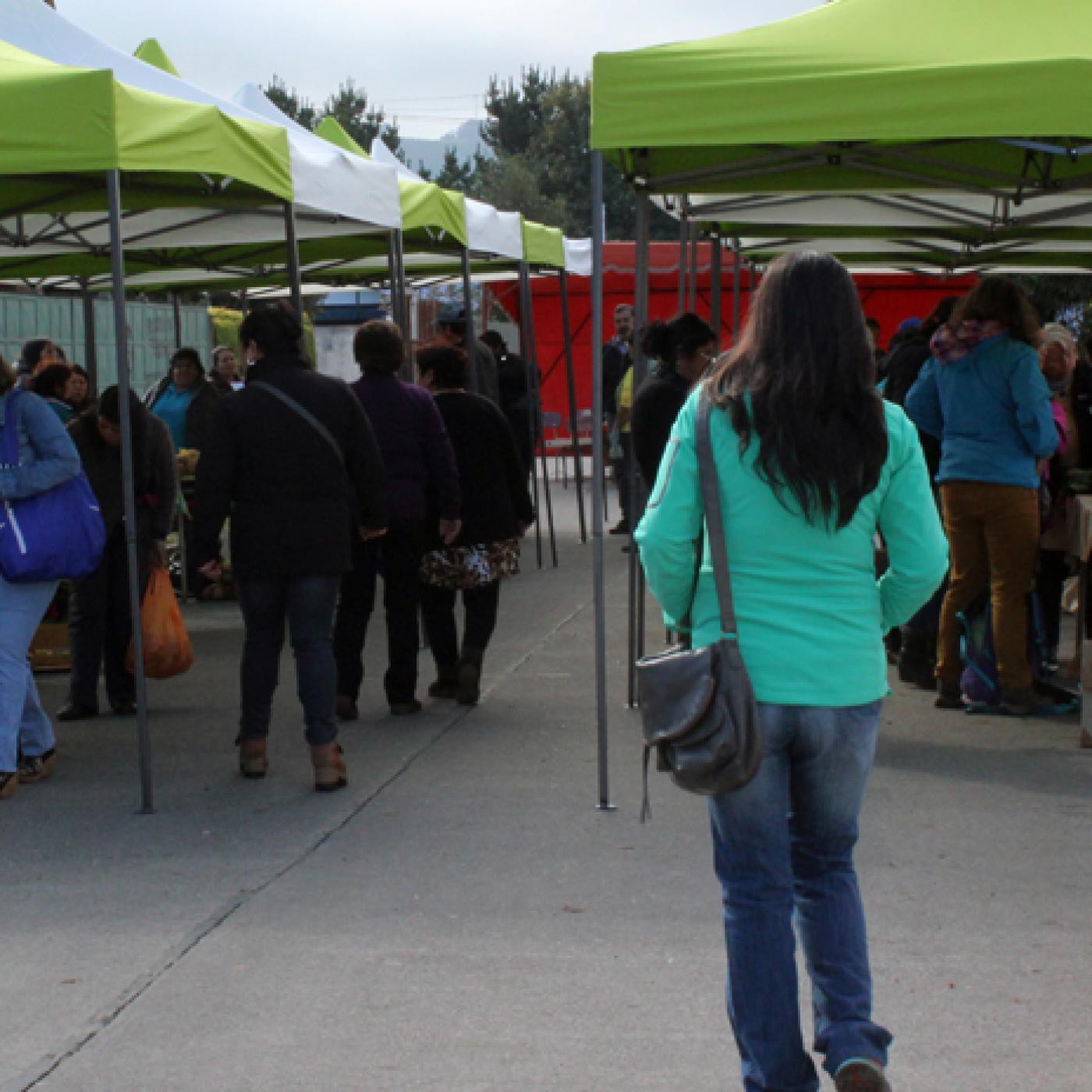 Participación en radios