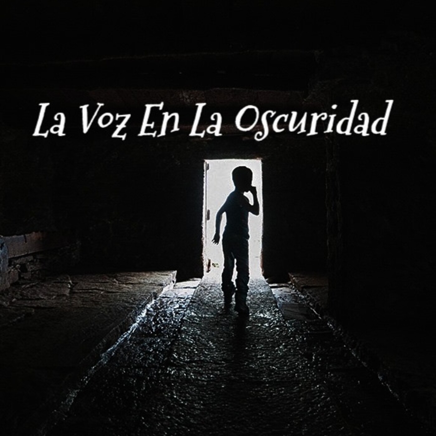 La Voz en la Oscuridad