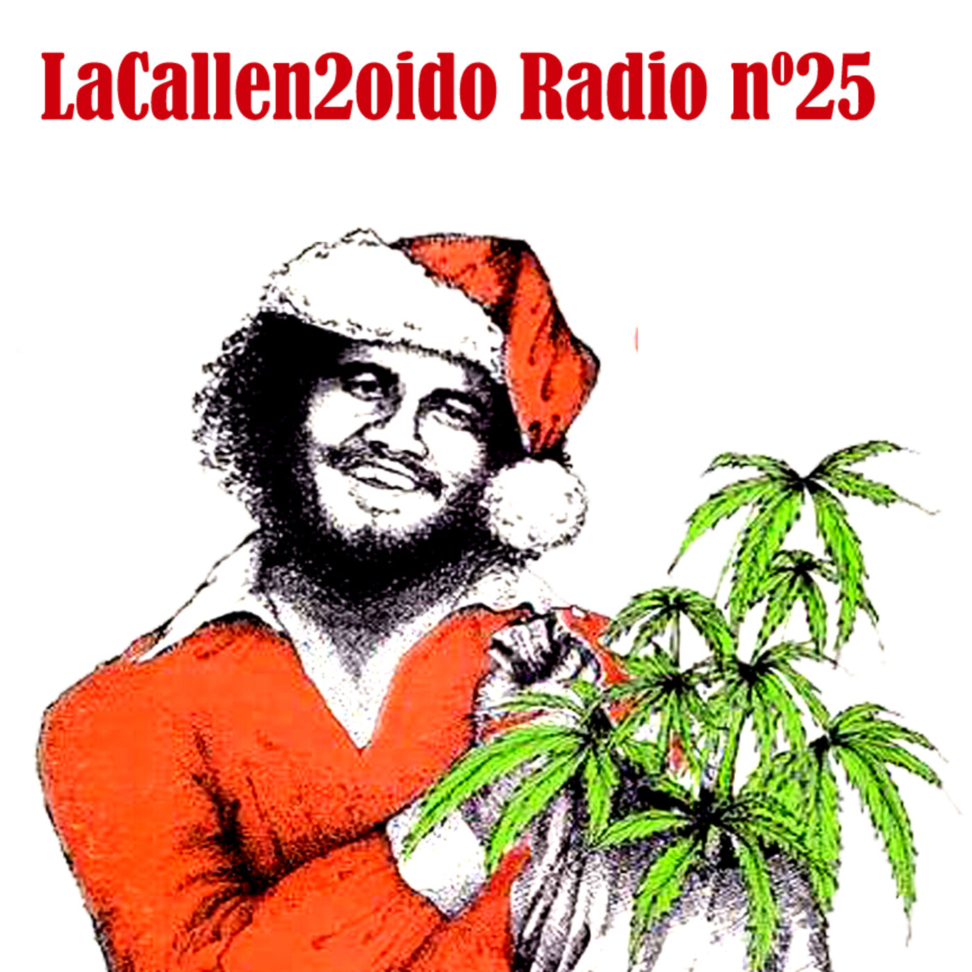 LaCallen2oído Radio