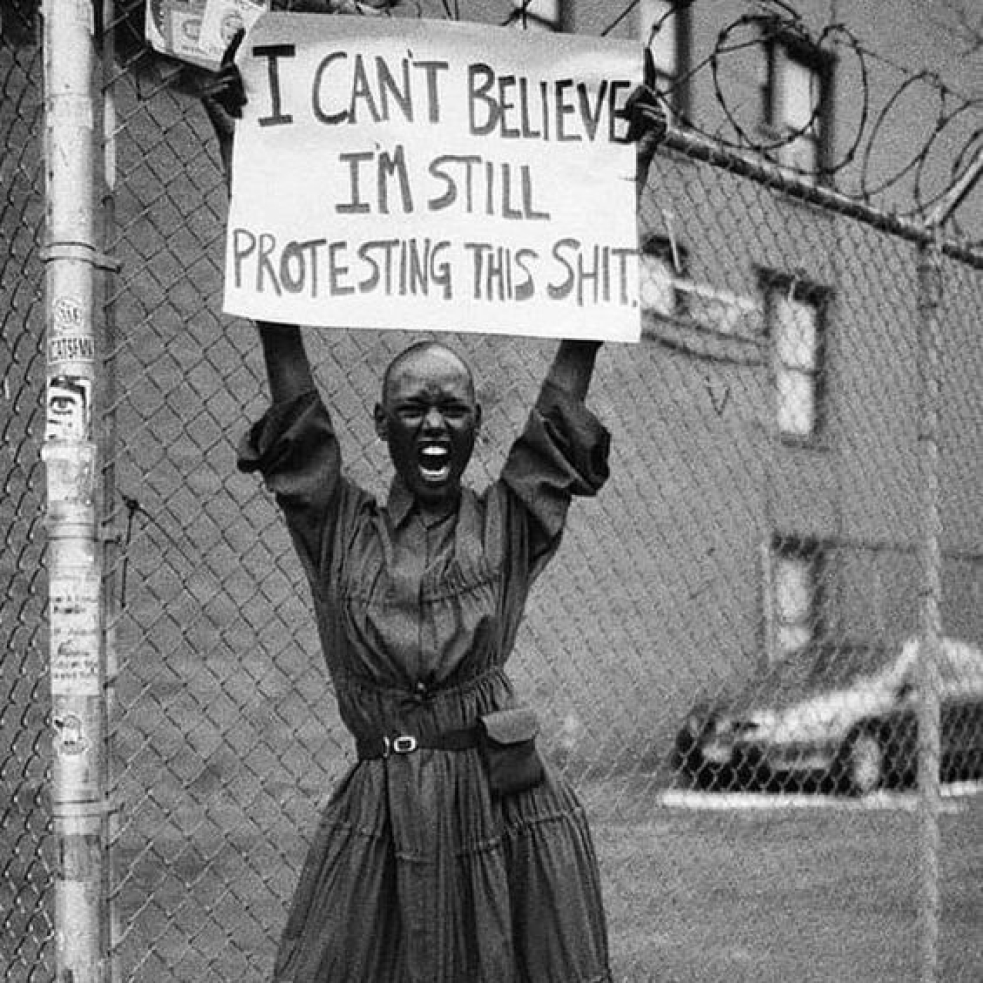 Paréntesis Cultural