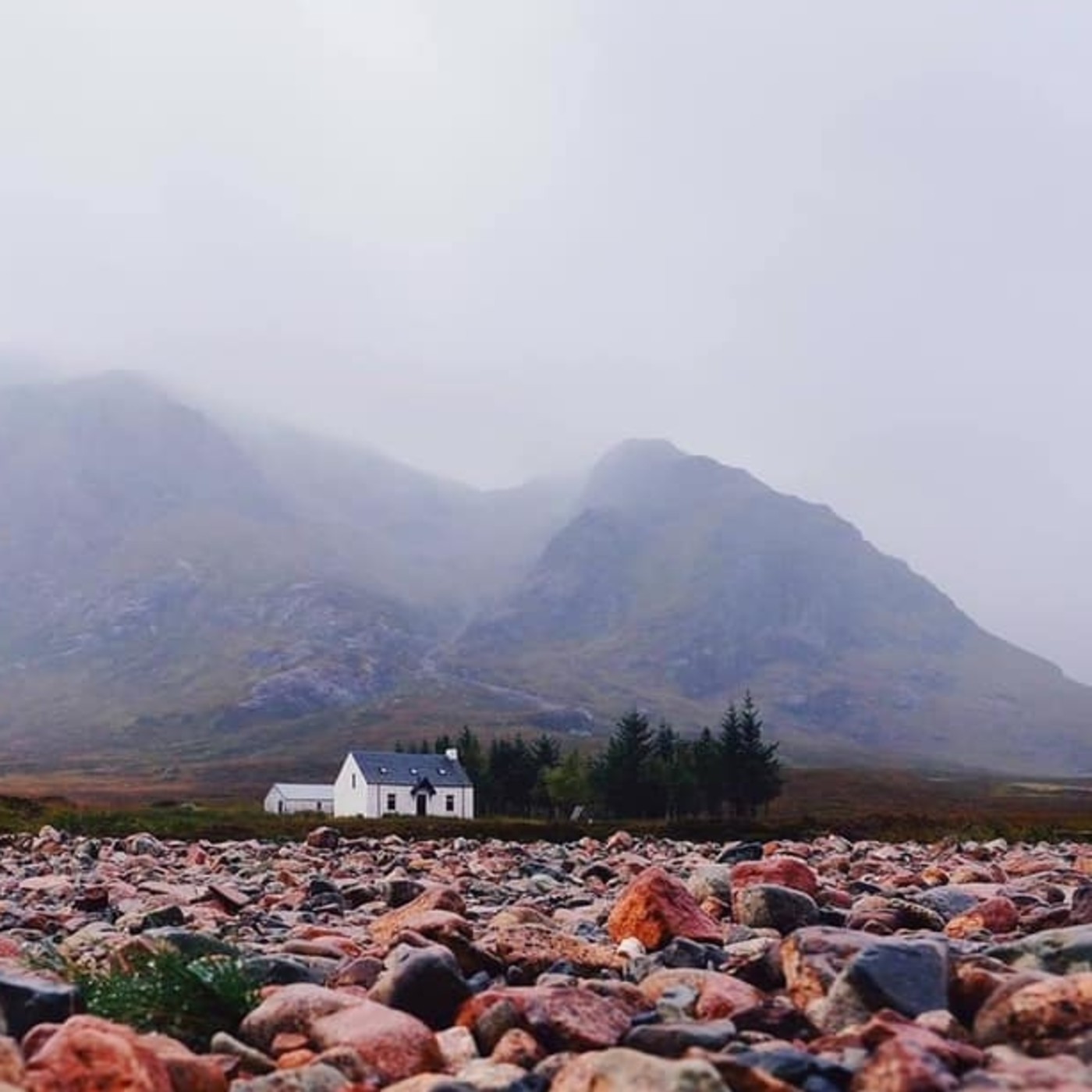 CASO ALCACER - HONOR Y JUSTICIA- 2 DE 3