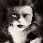 Fantasmas ~ Dentro de la Crisálida