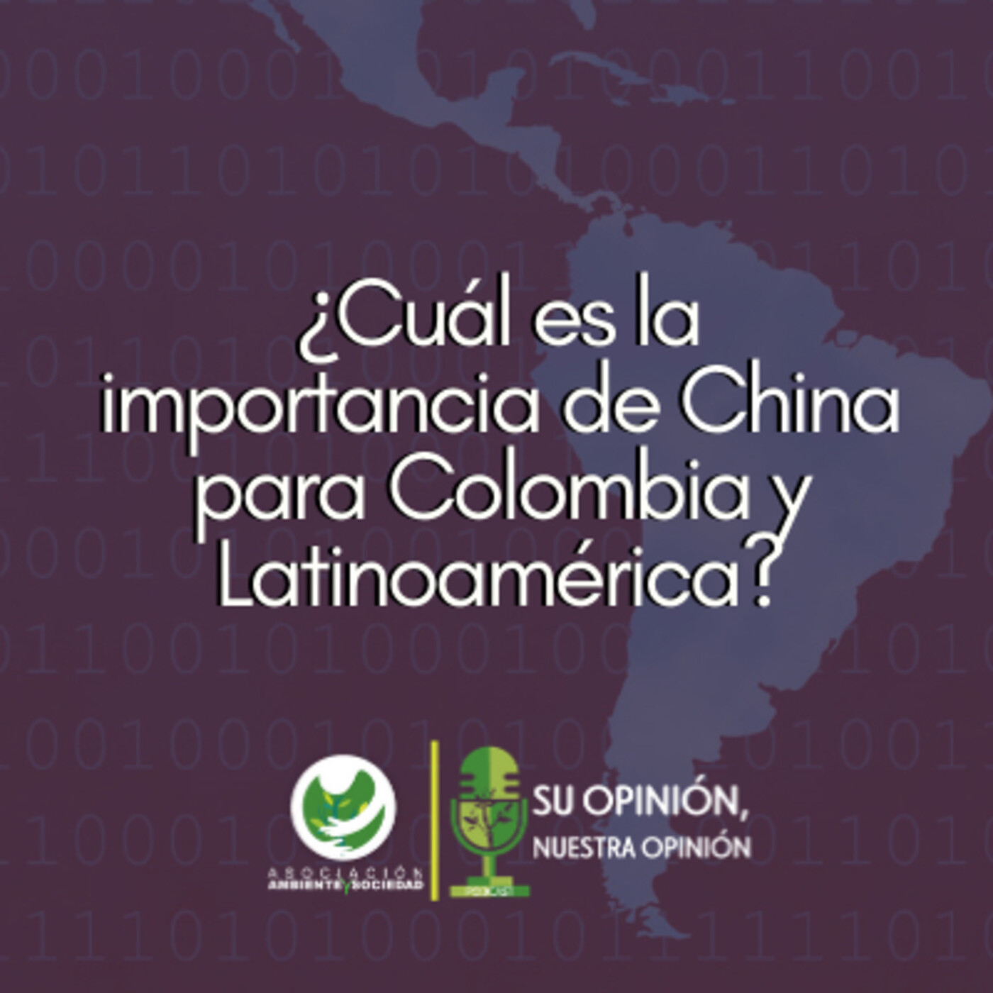Asociación Ambiente y Sociedad