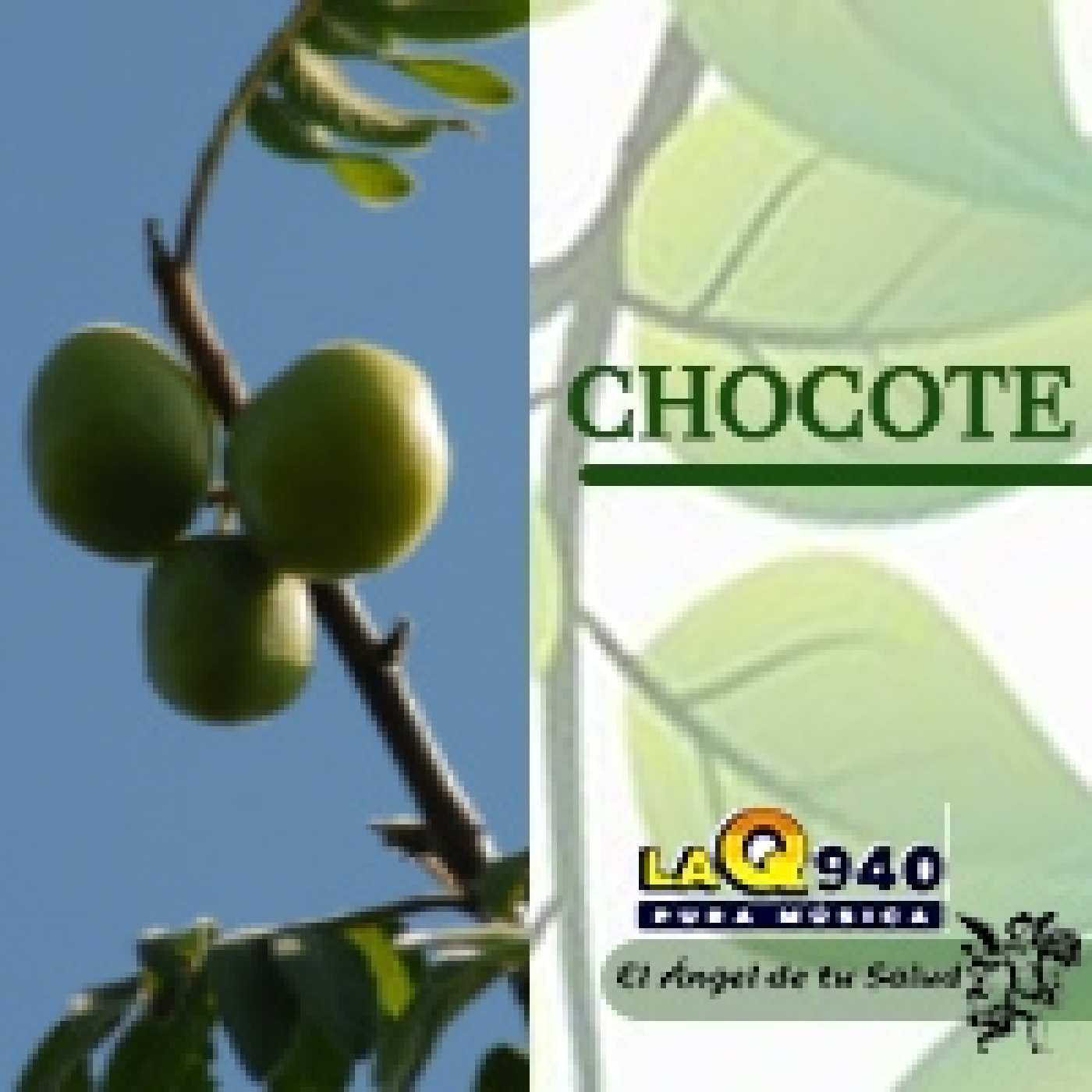 El Ángel de tu Salud - Chocote** episode artwork