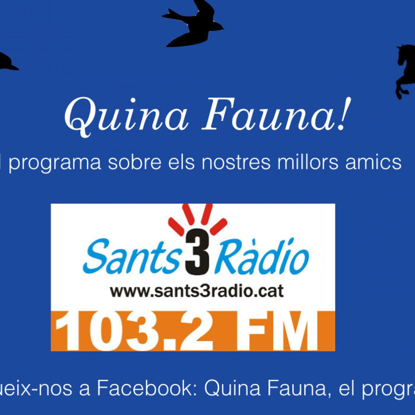 Quina Fauna