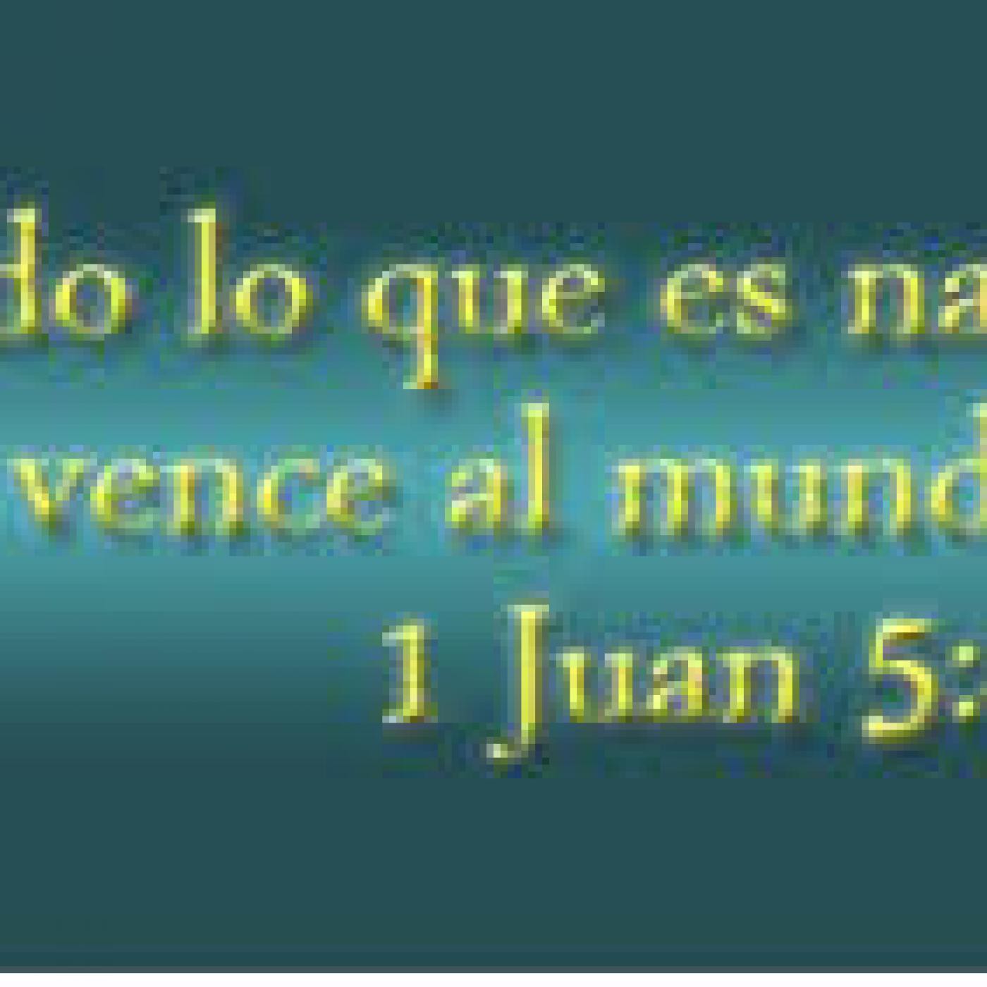 Jose Enrique Casado Cruz