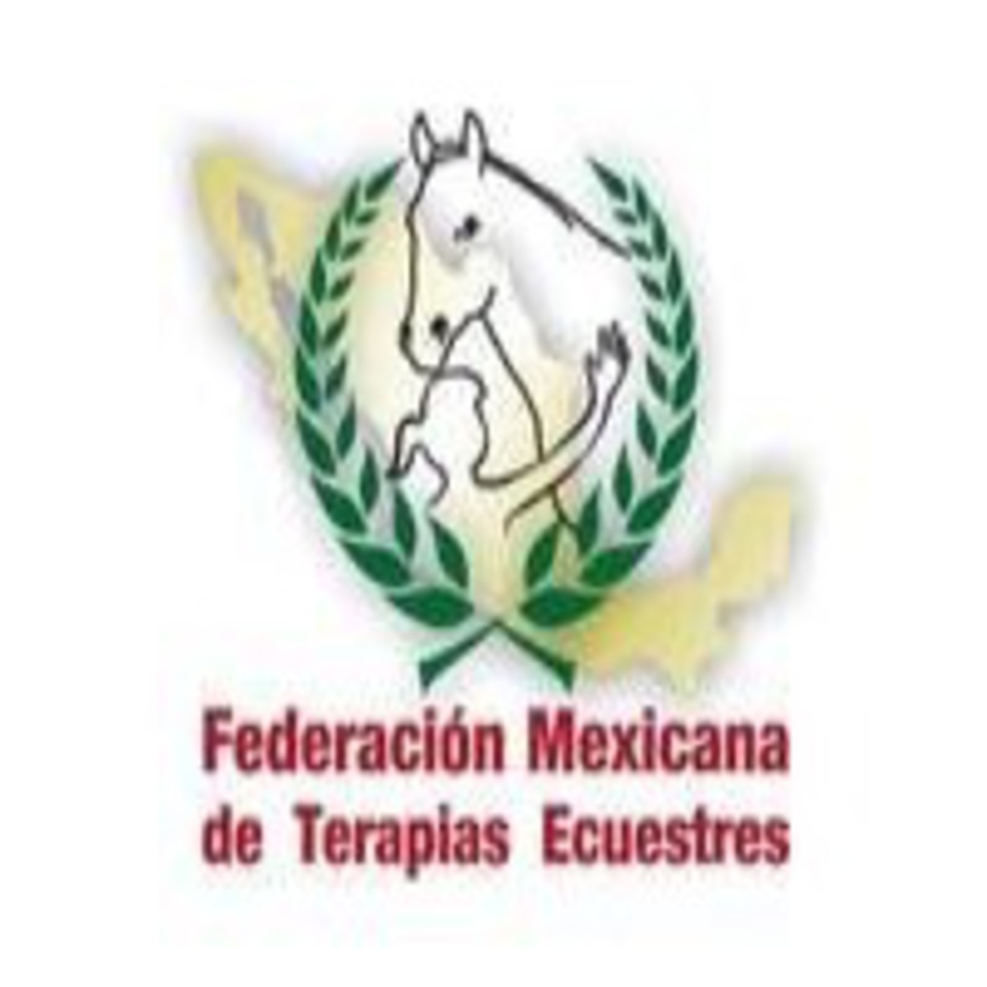 Cabalgando al Aire 1era temporada