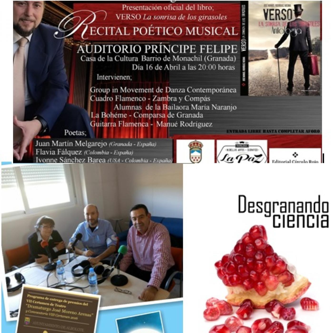Déjame Soñar - Programas completos