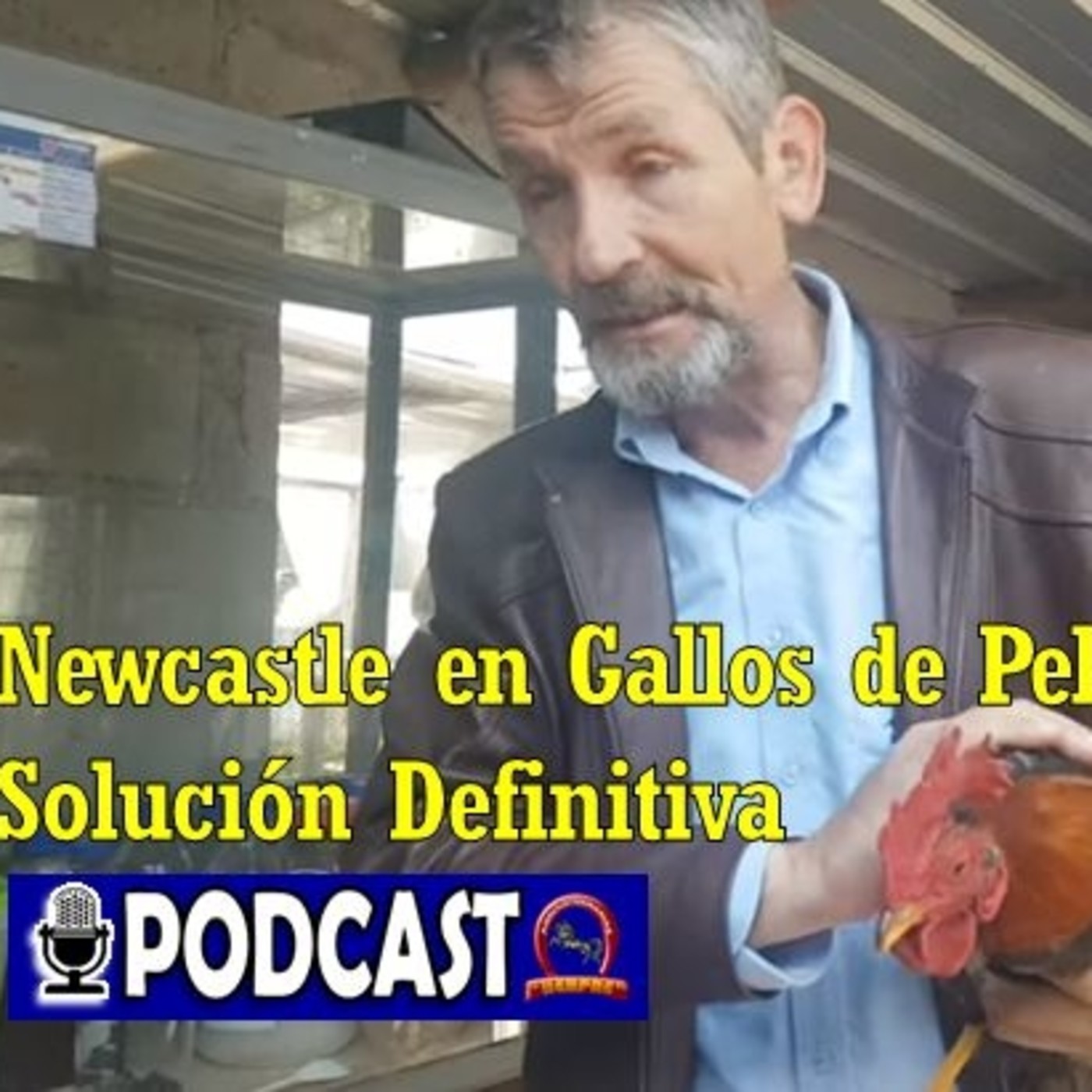 Pasión Gallera