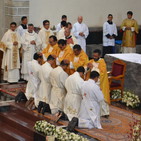 embed image