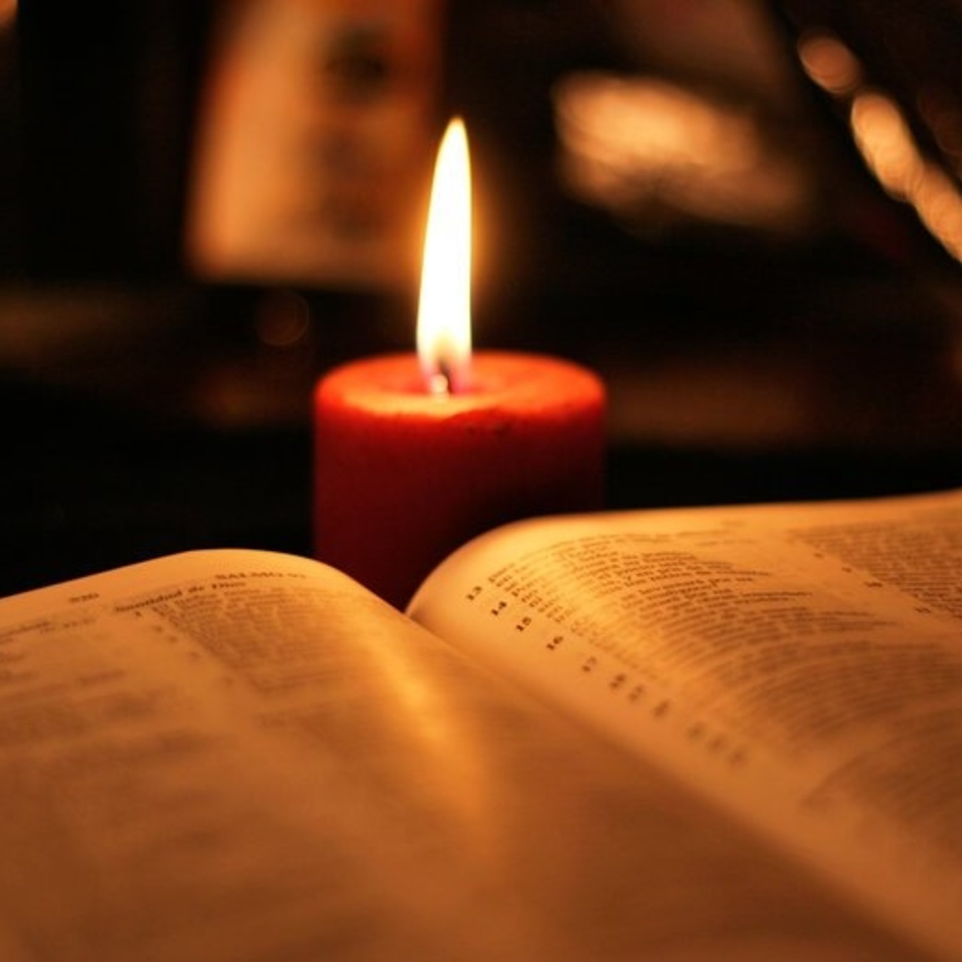 Catequesis: Evangelio del día - 2019